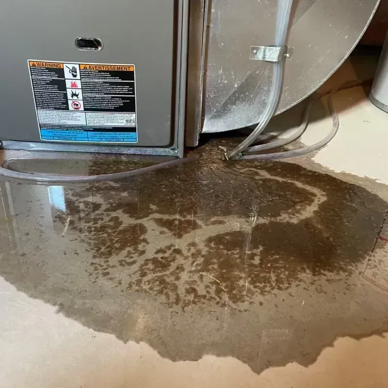 Appliance Leak Cleanup in Chipley, FL